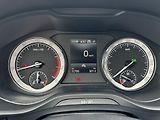 Škoda Kodiaq (2021) Style Plus 2.0TSI 4x4 DSG - náhled 14
