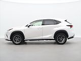 Lexus NX 300h 2,5 145 kW 4WD Prestige - náhled 3
