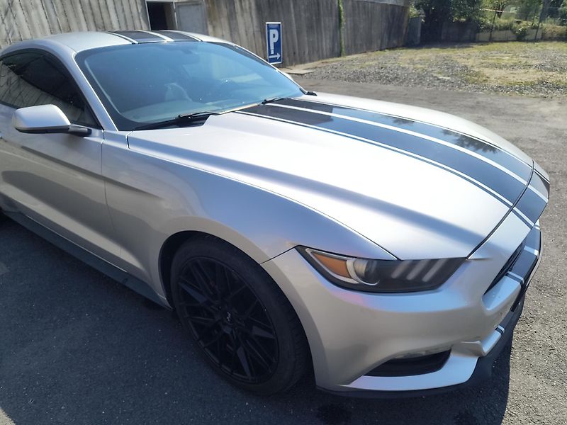 Ford Mustang (2016) 3.7 V6 225KW/AUTOMAT - fotka 16 z 46