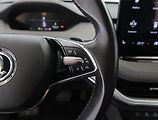 Škoda Enyaq (2021) iV 80 (82 kWh), SoH 91% - náhled 24