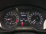 Škoda Octavia (2016) Scout 2.0 TDI, 4X4, Automat - náhled 11