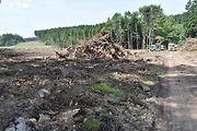 Na trase D11 Jaroměř - Trutnov skončilo kácení dřevin.