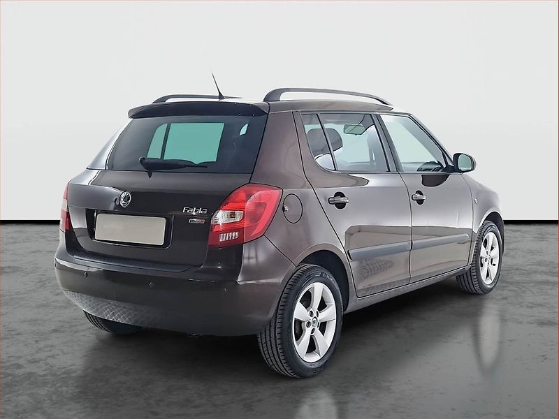 Škoda Fabia (2012) 1.2 12V, Park. senzory - fotka 5 z 15