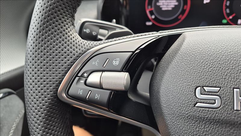 Škoda Kodiaq 2,0 TDi 142 Kw 4x4 Sportline - fotka 11 z 28