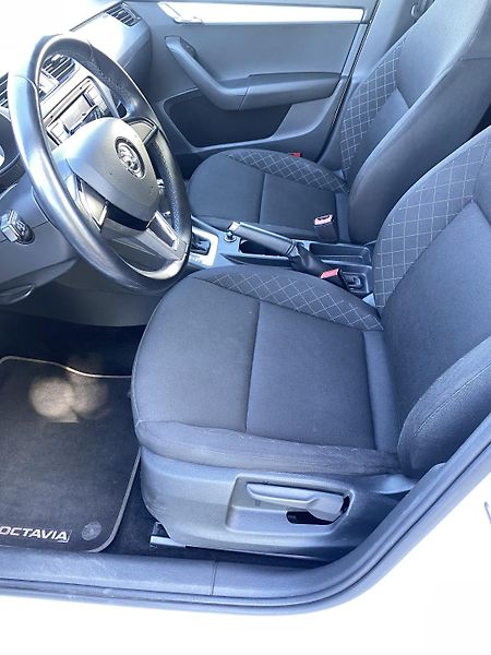 Škoda Octavia (2019) - fotka 10 z 14