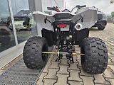 Linhai ATV 100 LH (2026) ATV 110 - náhled 24