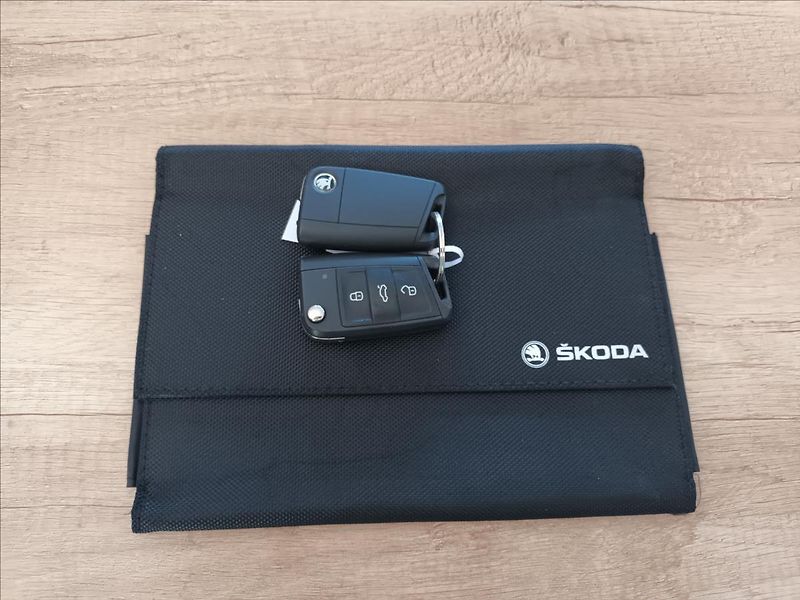 Škoda Fabia 1,0 TSI,81KW,DSG,STYLE,TAŽNÉ, - fotka 45 z 46
