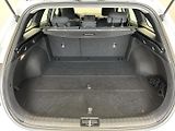 Kia Ceed 1.5 T-GDI Fresh - náhled 19
