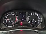 Škoda Fabia (2021) 1.0 TSI, ČR,1.maj, Tempomat - náhled 11