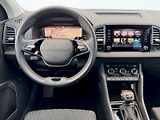 Škoda Karoq (2025) 2.0 TDI 110kW 4x4 DSG Top Sele - náhled 9