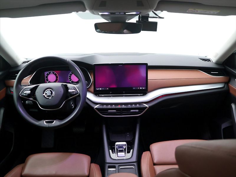 Škoda Octavia 2,0 TDI 110KW STYLE CZ DPH - fotka 29 z 36