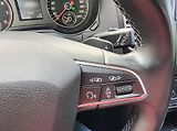 Volkswagen Sharan (2021) 1.4 TSI DSG 110KW/ NAVI/KAMERA - náhled 37