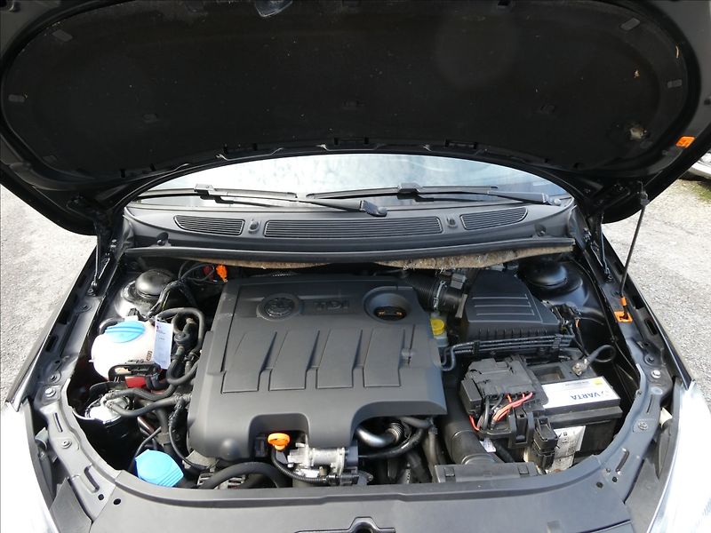 Škoda Roomster 1,6 TDi 66kW auto klima,servis - fotka 35 z 55