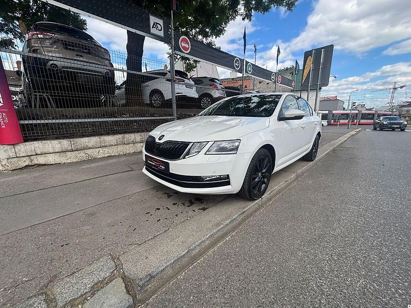 Škoda Octavia 2.0TDi-135KW/2019/CZ.4X4-ZÁRUK - fotka 15 z 52