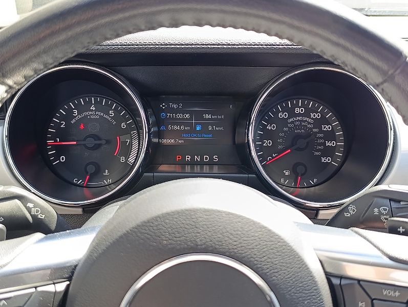 Ford Mustang 2.3 ECOBOOST CONVERTIBLE  - fotka 20 z 32