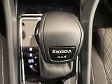 Škoda Karoq 2,0 TDI 110kW DSG 4x4 Style Pl - náhled 19