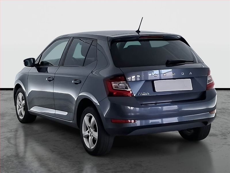 Škoda Fabia (2020) 1.0 TSI, Kůže, Tempomat - fotka 4 z 18