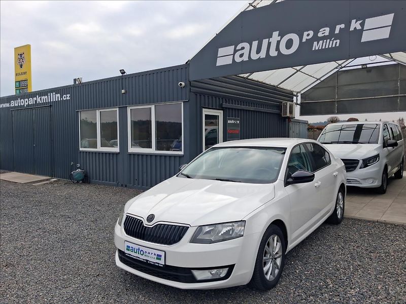 Škoda Octavia 1,6 1.6 TDi, po servisu, DPH - fotka 3 z 14