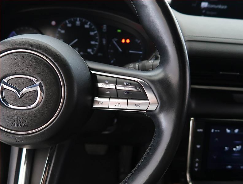 Mazda MX-30 (2020) e-Skyactiv, SoH 94%, Automat - fotka 20 z 27