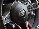 Alfa Romeo Stelvio 2,2d 154kW Q4 - náhled 36