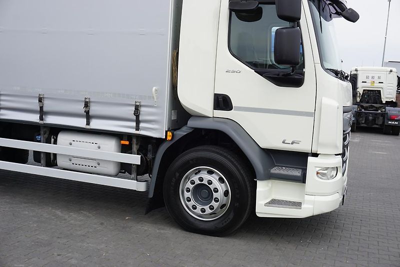 DAF LF (2019) 290 / E 6 / FIRANKA + WINDA /  - fotka 30 z 44