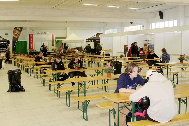 Autosalon Kola 2023 v Lysé v pátek 3. listopadu.