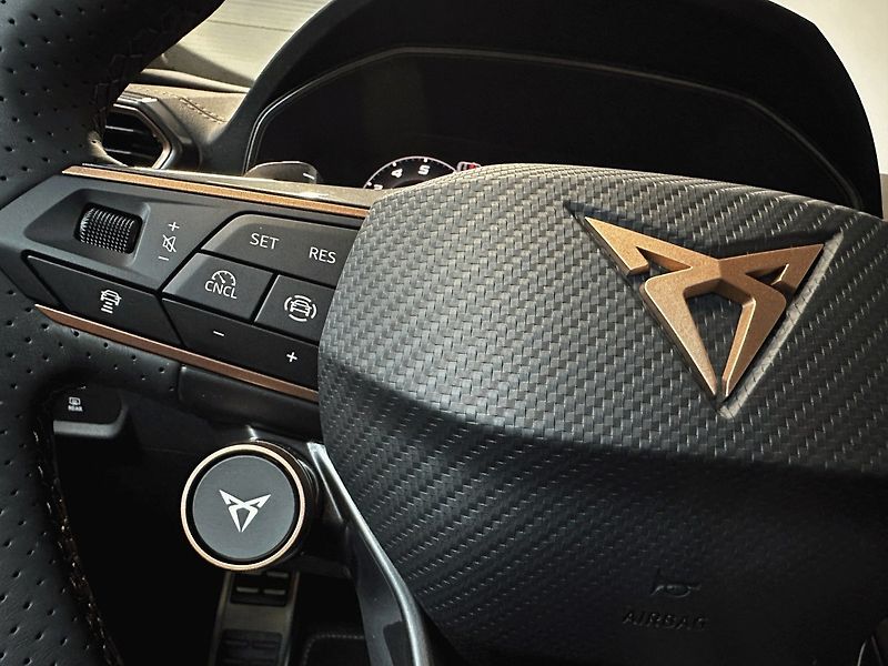 Cupra Formentor (2026) 2.0 TSI 204k 4WD - fotka 14 z 18