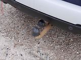 Dacia Duster (2020) 1.3TCe, ČR, servis.kniha - náhled 16