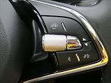 Škoda Superb 2,0 TDI Ambition DSG TAŽNÉ ČR - náhled 22