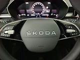 Škoda Fabia (2025) 1.0 TSI, ČR,1.maj, Serv.kniha - náhled 16