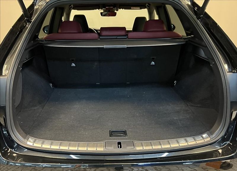 Lexus RX 500h 500H 2,4 HEV F SPORT - fotka 9 z 19
