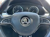 Škoda Superb (2016) 2.0 TDi, ČR, DSG, bixen - náhled 12