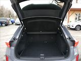 Cupra Terramar 2,0 VZ 2.0 TSi 195kW DSG 4WD - náhled 19