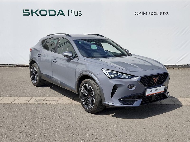 Cupra Formentor (2021) 2,0 tsi 140 Kw DSG 4Drive - fotka 35 z 39