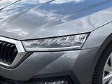 Škoda Octavia (2024) COM M-HEV AMB TS 110/1.5 A7F - náhled 10
