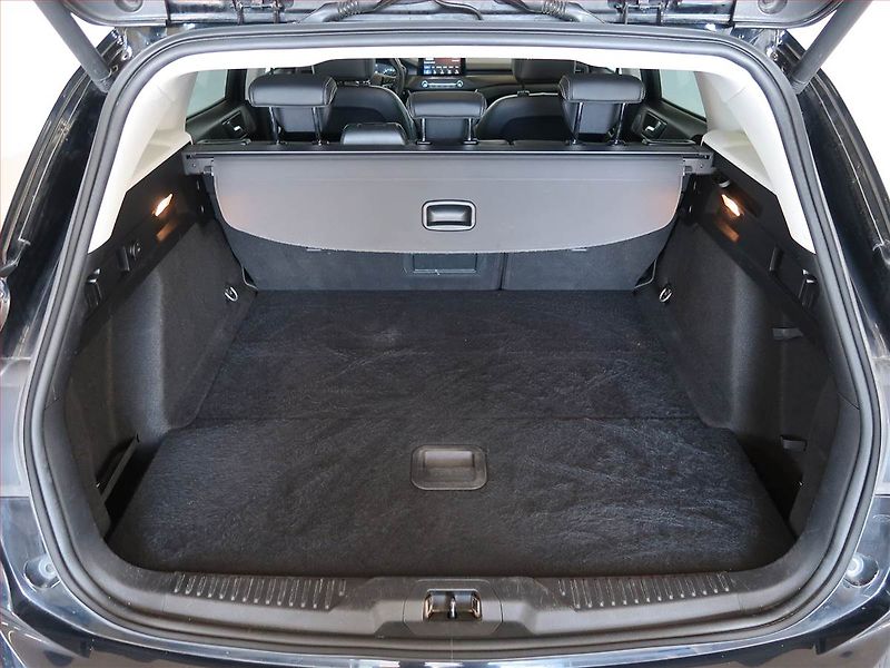 Ford Focus (2019) Vignale 2.0 EcoBlue, Automat - fotka 14 z 15