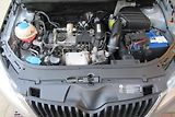 Škoda Roomster 1.2 TSi AUT. KLIMA  NAVIGACE - náhled 22