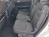 Ford S-MAX (2020) 2.0TDi, 1.maj,ČR, AT, navi - náhled 10