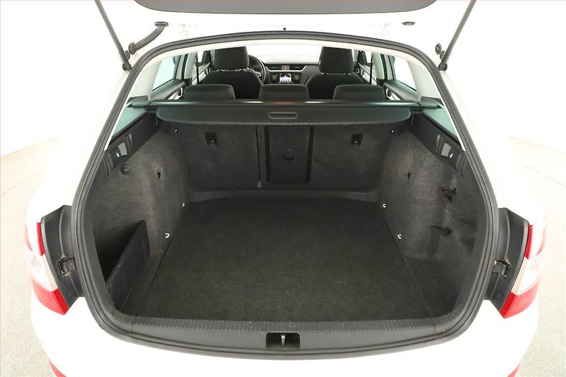 Škoda Octavia (2015) 1.6 TDI, Tempomat - fotka 12 z 13