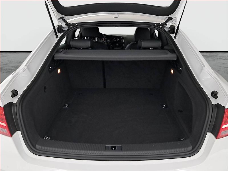Audi A5 (2017) S-Line 2.0 TDI - fotka 14 z 18