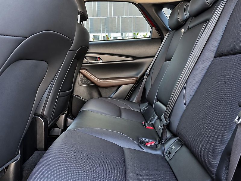 Mazda CX-30 (2021) 2.0 SKYACTIV-G 110 kW COSMO - fotka 12 z 32