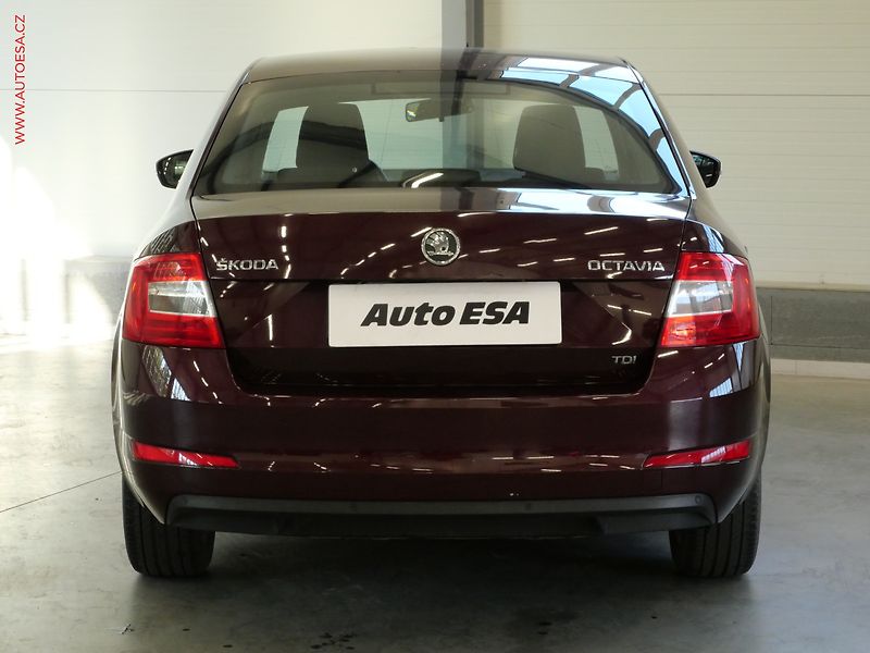 Škoda Octavia (2014) 1.6 TDI, ČR, servis.kniha - fotka 5 z 21