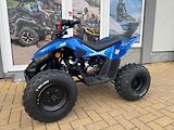 Linhai (2026) ATV 110 - náhled 1