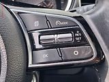 Kia Ceed (2019) 1.4CVVT, 1.maj,ČR, AC, tempo - náhled 13