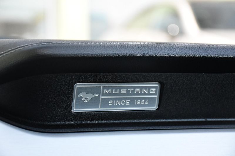 Ford Mustang 5.0V8 REMUS ČR ZADÁNO - fotka 34 z 40