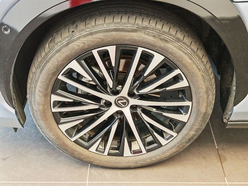 Lexus RZ 450e 450e DIRECT4 LUXURY Elektro 15 - fotka 7 z 39