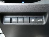 Toyota RAV4 2,5 Hybrid,1.maj,ČR,tažné - náhled 19