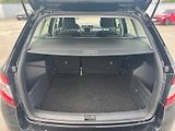 Škoda Fabia (2022) Ambition Plus 1.0 TSI DSG Navi - náhled 16