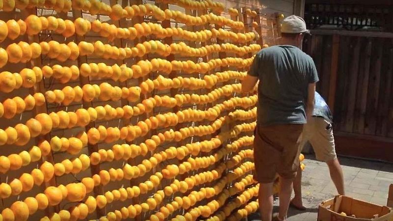 Citronová nabíječka nedopadla zrovna úspěchem.