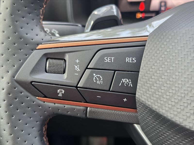 Cupra Formentor 2,0 TSi DSG 4x4 Tažné z. Záruk - fotka 14 z 18